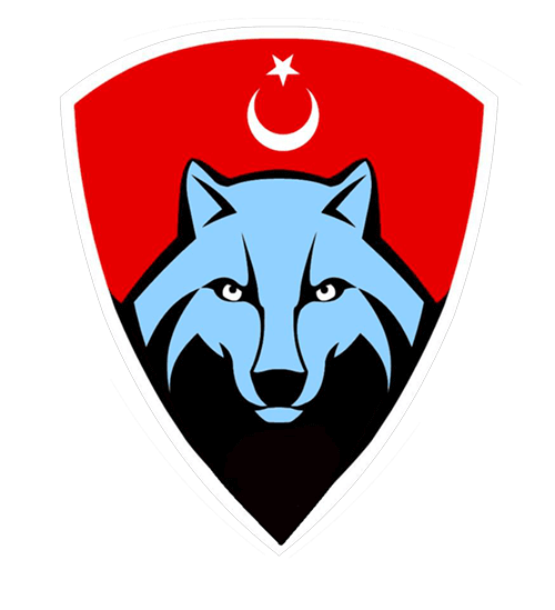 Kırmızı beyaz kalkan arma, futbol topu detaylı